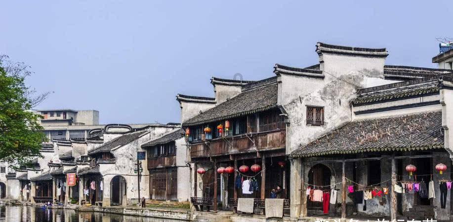 救援鹦鹉